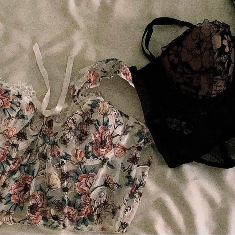 Victoria Secret crop corset selling both for $27